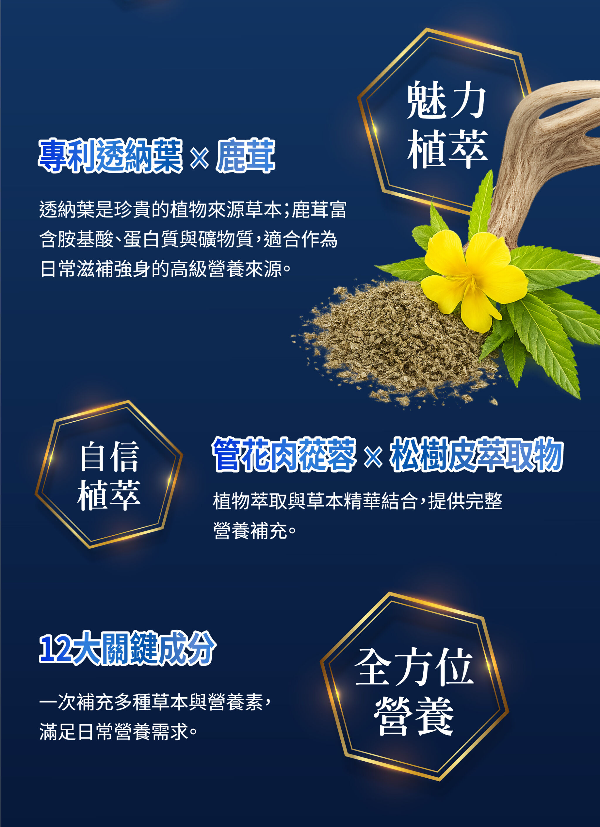 5.瑪卡0804 Q 08