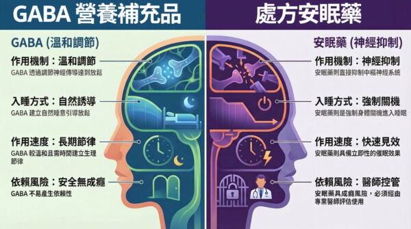 醫師解析 GABA 在大腦中的抑制性神經傳導作用路徑,幫助放鬆與情緒穩定