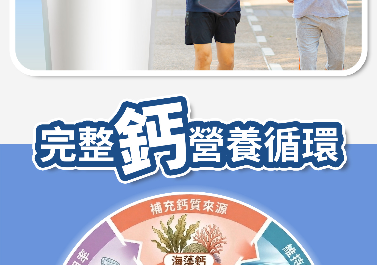 新版 網頁排版鈣鎂樂v2 11