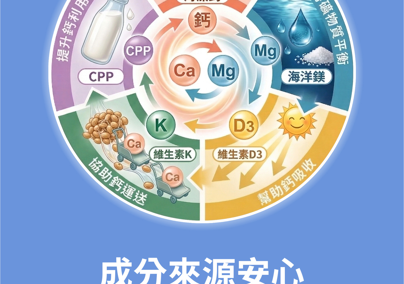 新版 網頁排版鈣鎂樂v2 12