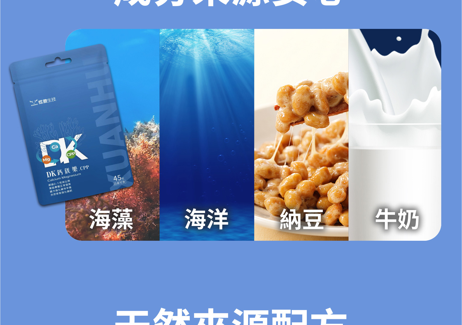 新版 網頁排版鈣鎂樂v2 13