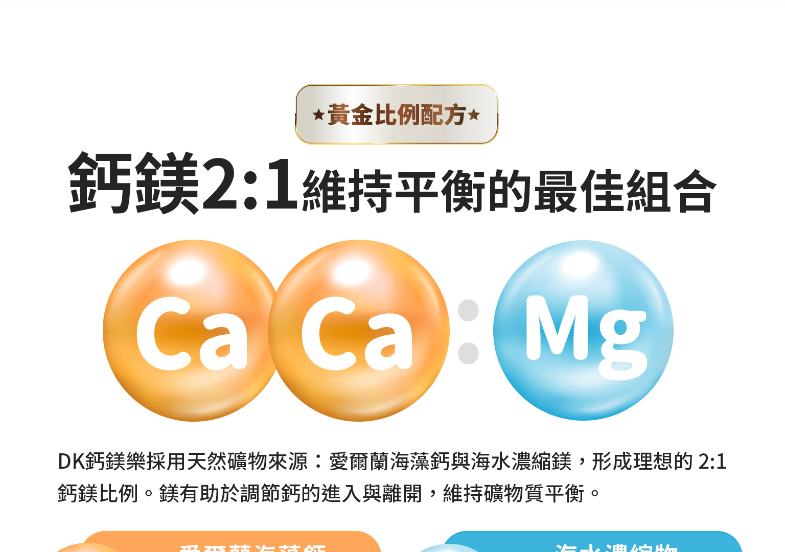 新版 網頁排版鈣鎂樂v2 5