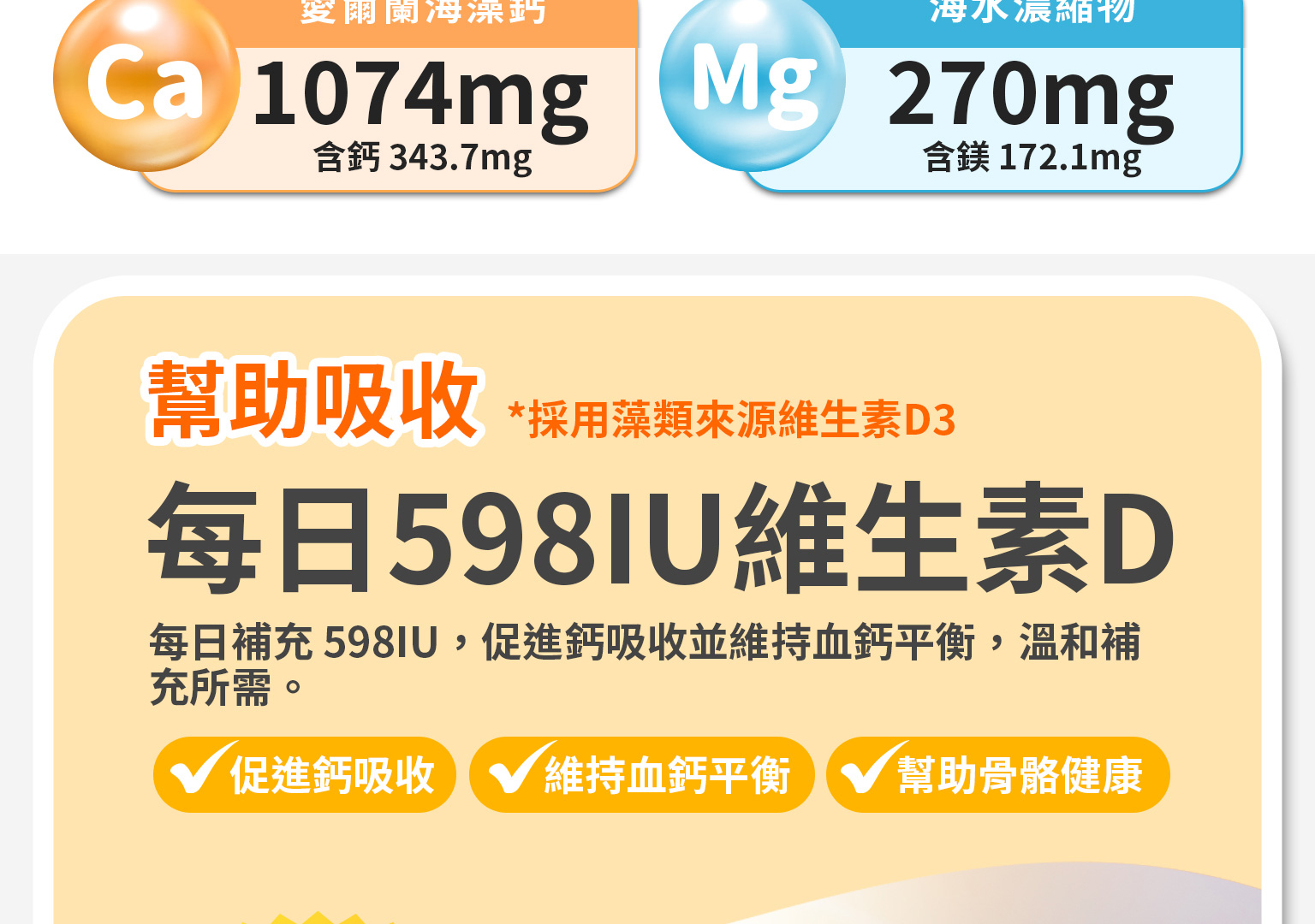 新版 網頁排版鈣鎂樂v2 6