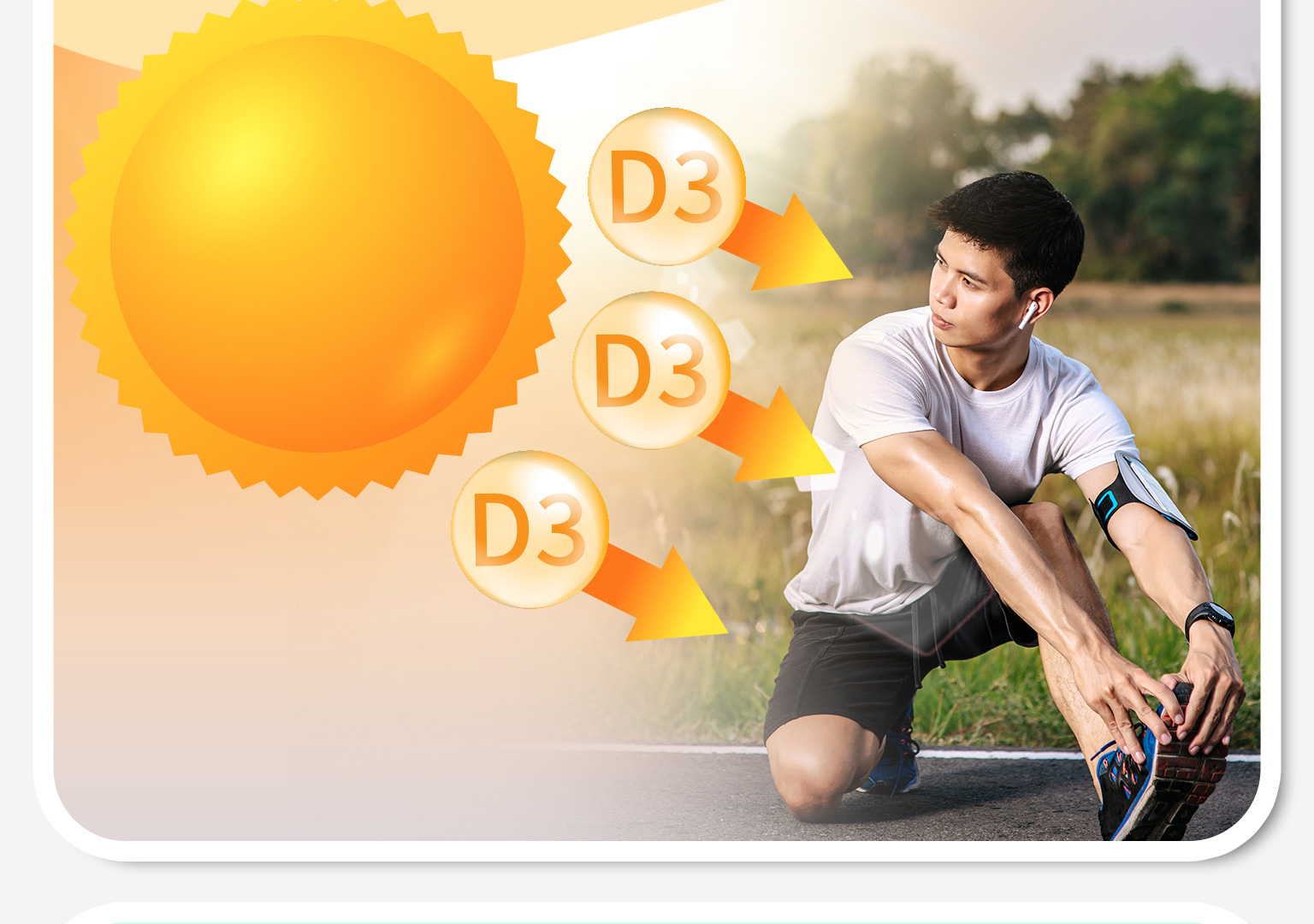 新版 網頁排版鈣鎂樂v2 7