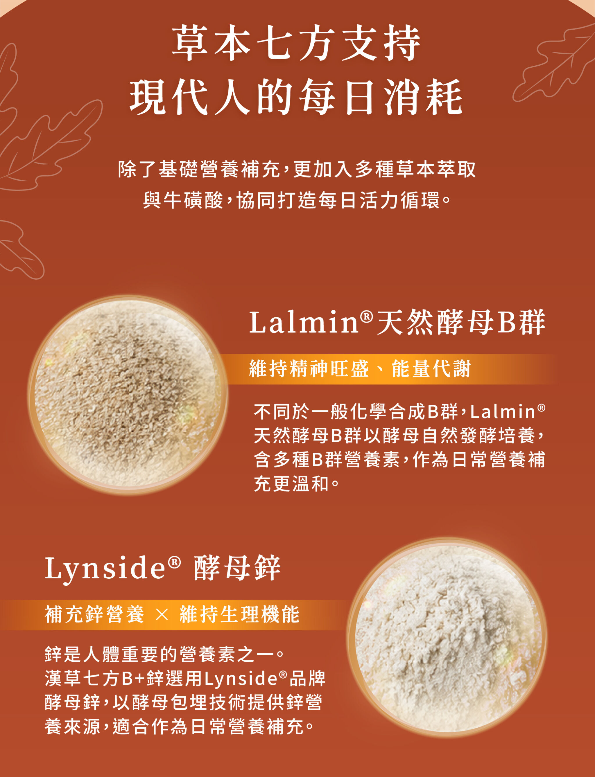 1.漢方七草B鋅 06