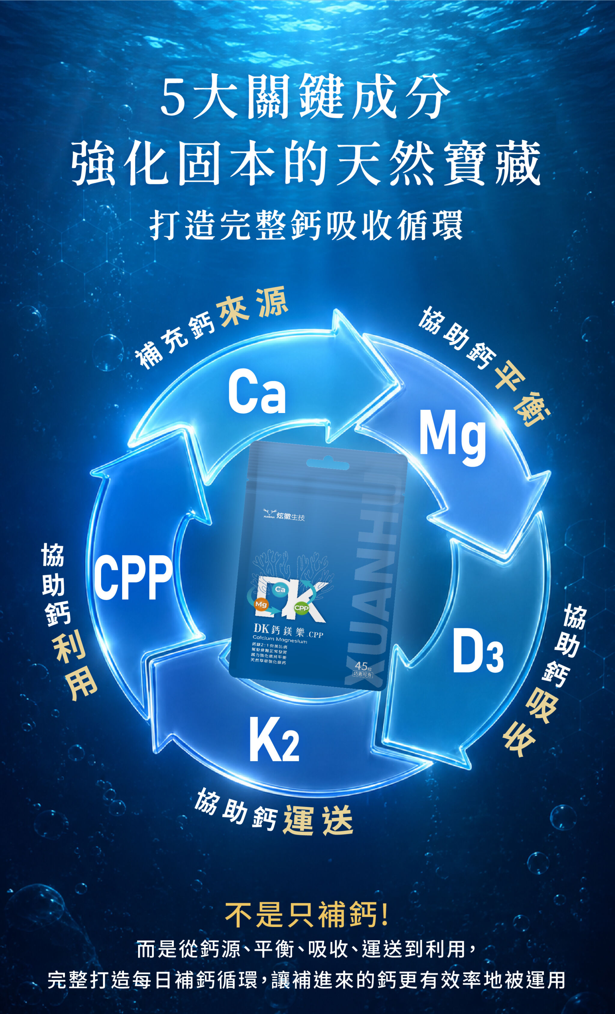5大關鍵成分