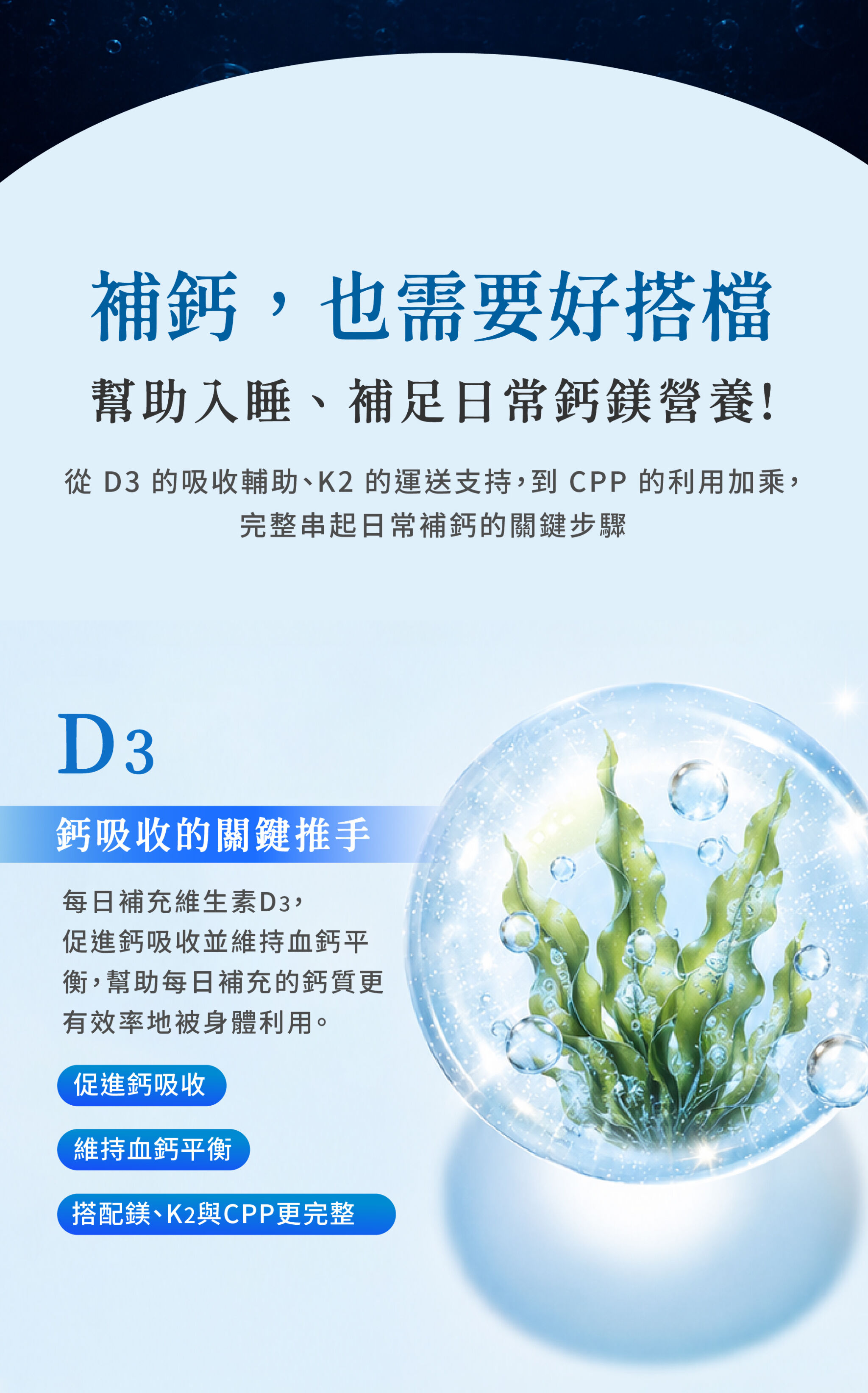 D3鈣吸收的關鍵推手