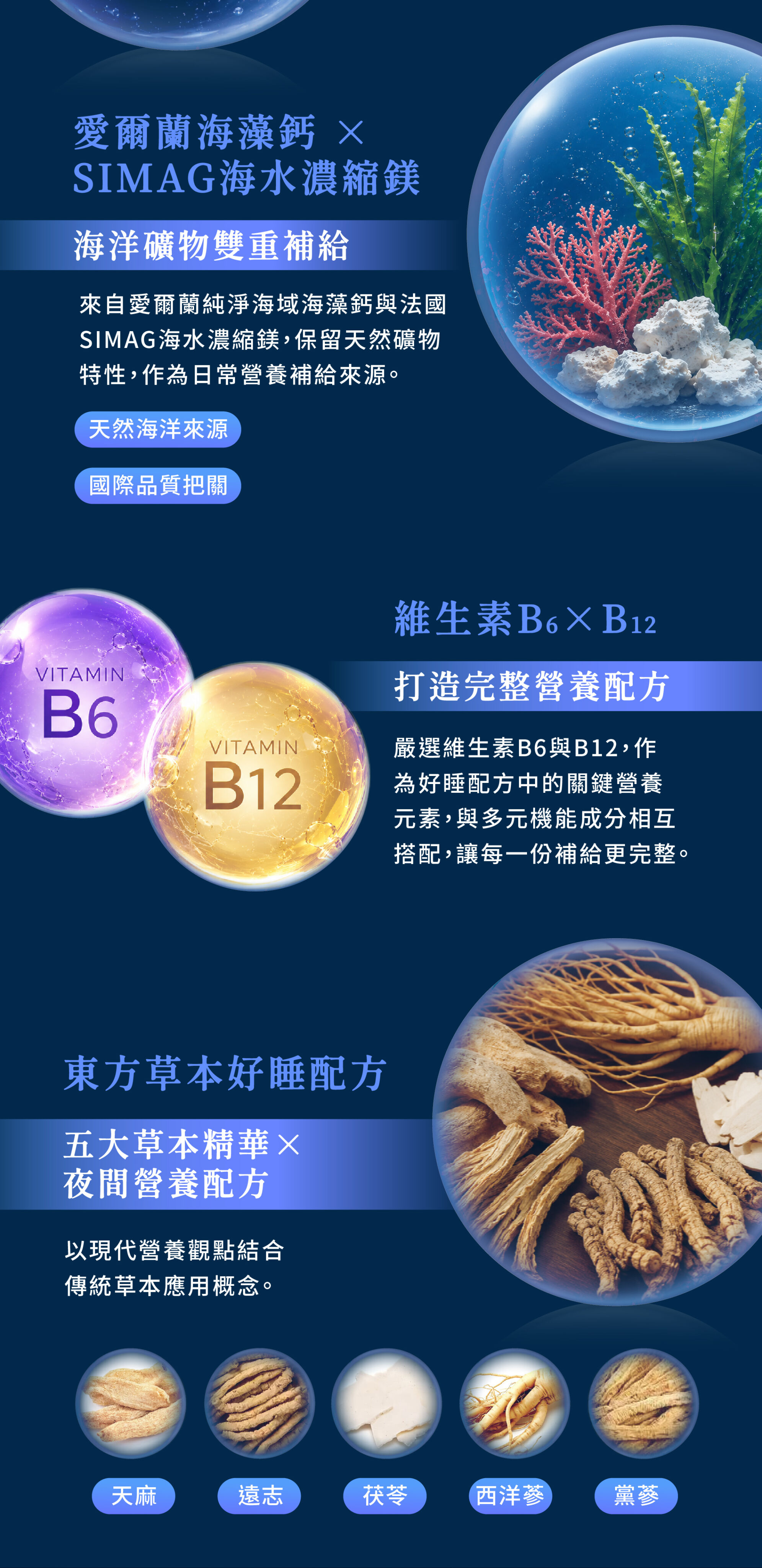 愛爾蘭海藻鈣 維生素b6xb12 東方草本好睡配方